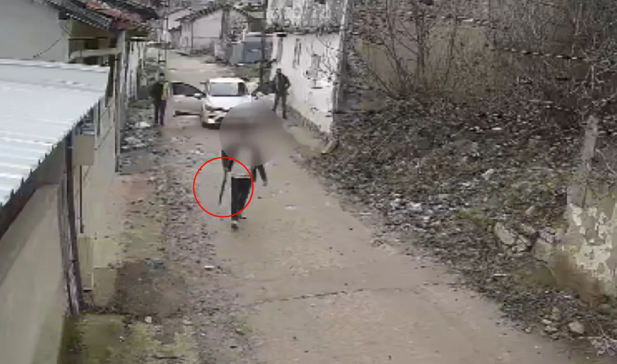 İnegöl'de köpek katliamı kamerada