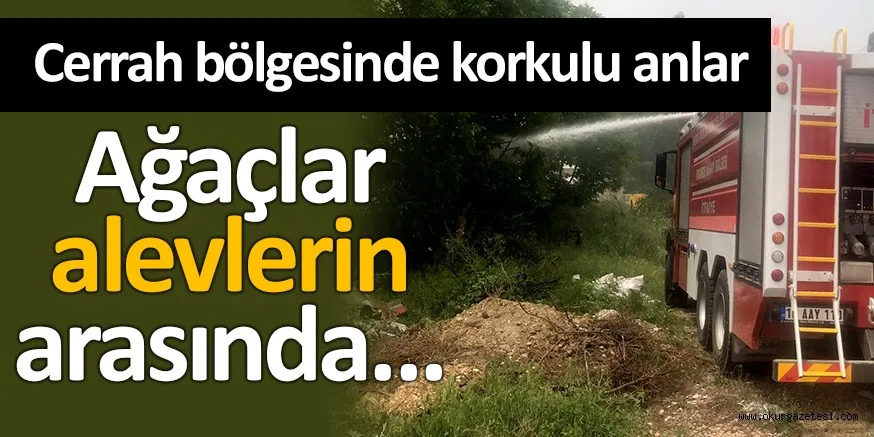 AĞAÇLIK ALANA SIÇRAMADAN YANGIN SÖNDÜRÜLDÜ