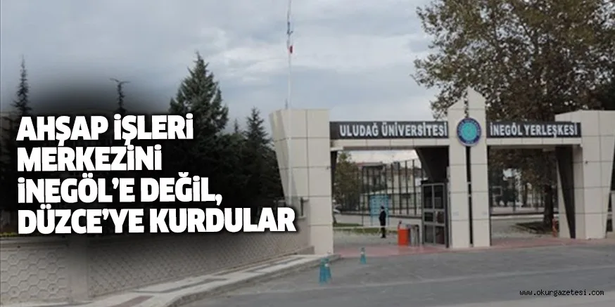 AHŞAP İŞLERİ MERKEZİNİ İNEGÖL’E DEĞİL, DÜZCEYE KURDULAR
