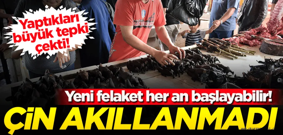 Akıllanmadılar... Çin'in bu yaptığı büyük tepki çekti! Yeni felaket her an başlayabilir