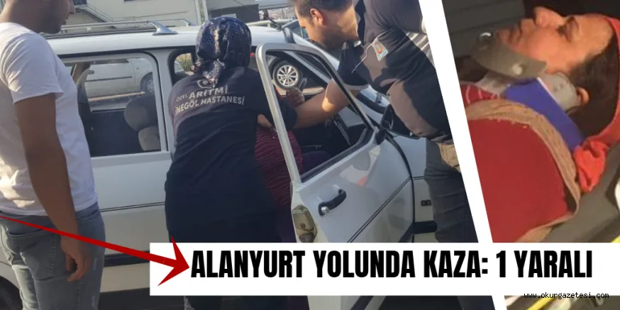 ALANYURT YOLUNDA KORKUTAN KAZA