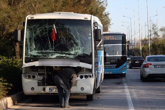 Antalyada Zincirleme Kazası: 9 Yaralı
