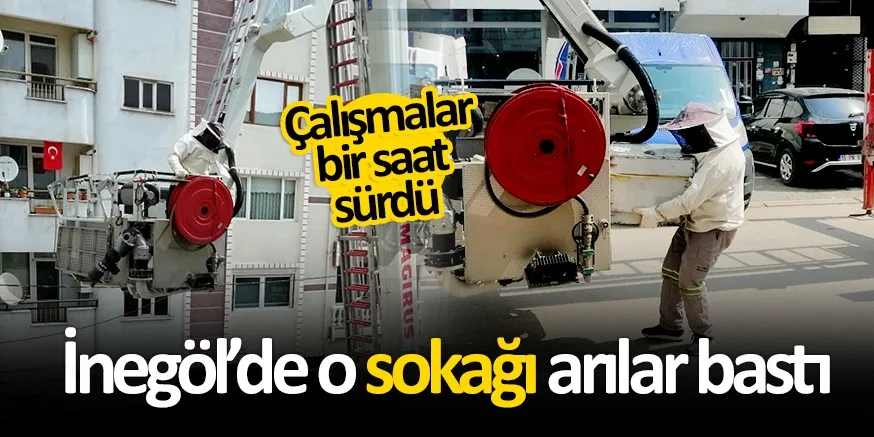 Arı oğul verince sokağı arılar bastı