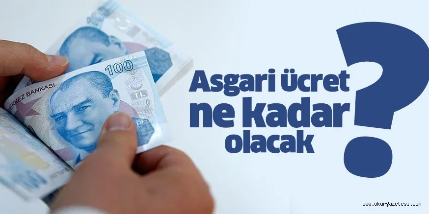 Asgari Ücret Ne Kadar Olacak?