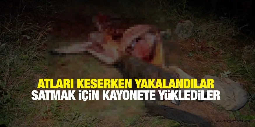 AT ETİ TİCARETİ...