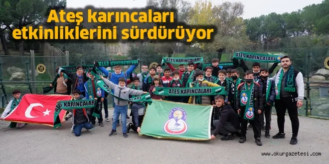 Ateş karıncaları etkinliklerini sürdürüyor