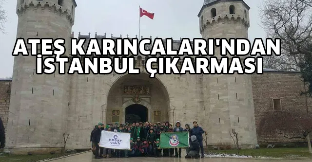 ATEŞ KARINCALARI'NDAN İSTANBUL ÇIKARMASI