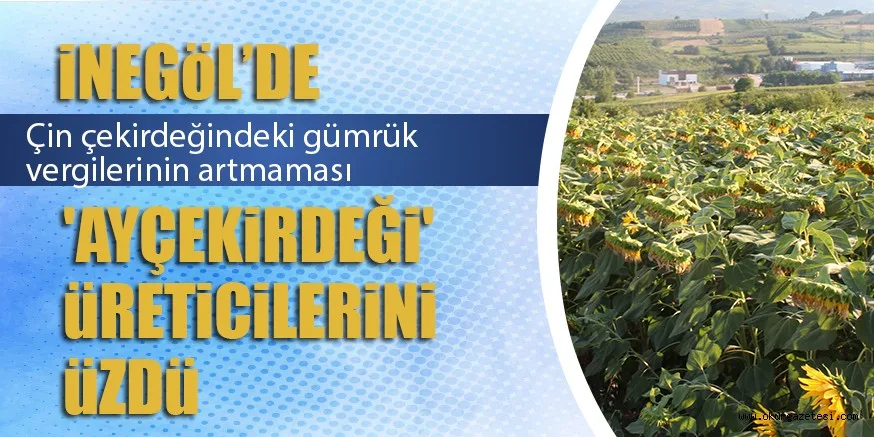 'AYÇEKİRDEĞİ' ÜRETİCİLERİ ÜZDÜ