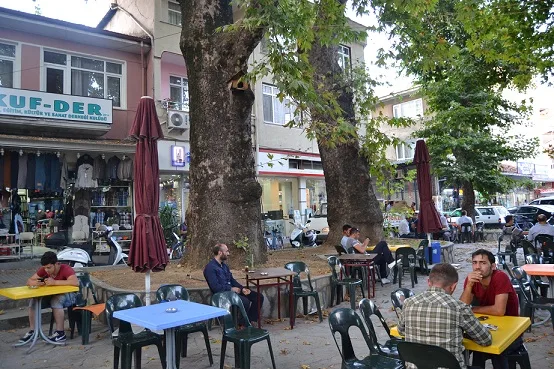 Çınarlar Altı’nda kuş yuvaları
