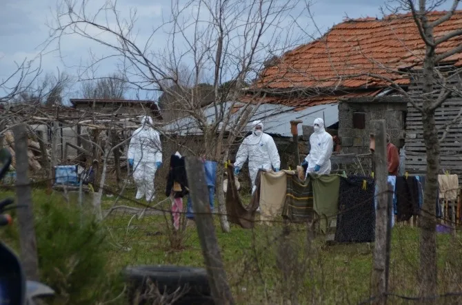 Bafrada Kümes Hayvanı İtlafları Devam Ediyor