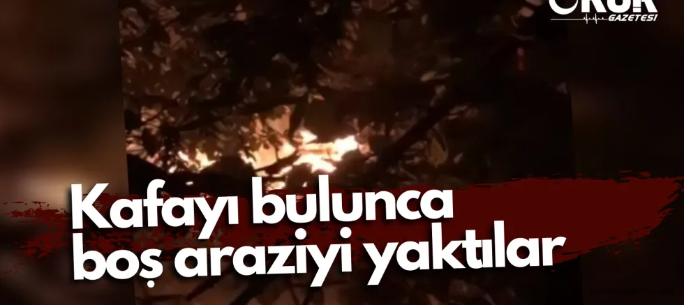 Bağımlı gençler kafayı bulunca boş araziyi ateşe verdi