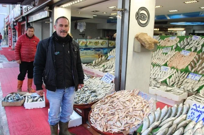 Balıkçılarda Hamsi Kıtlığı