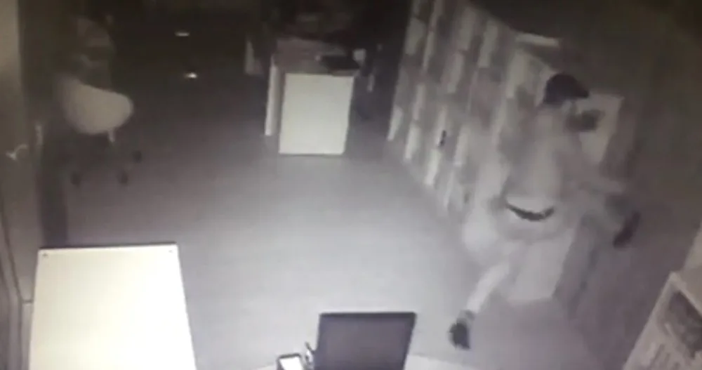 Balyozlu Hırsız Kapıyı Açamayınca Tekmeledi