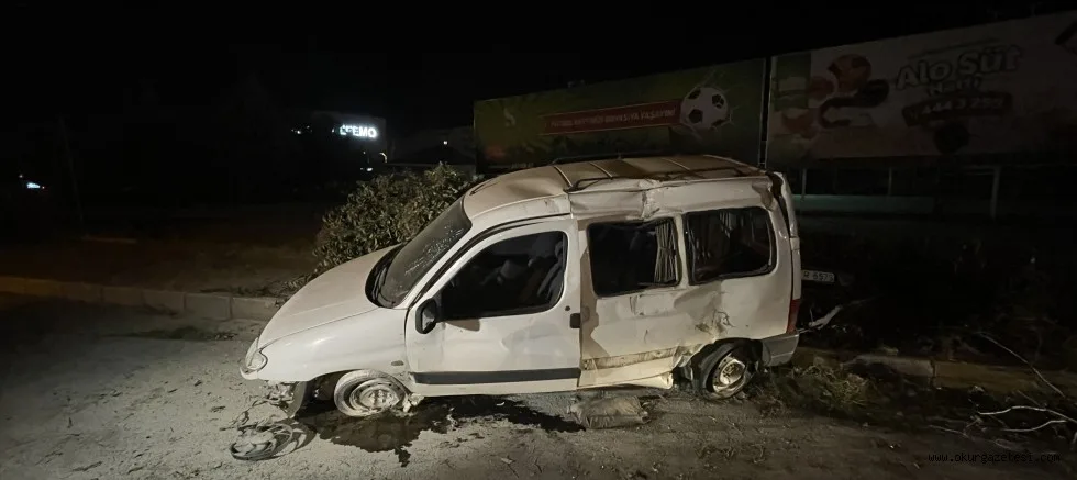 Bariyerlere çarpıp ağaçları deviren aracın sürücüsü yaralandı