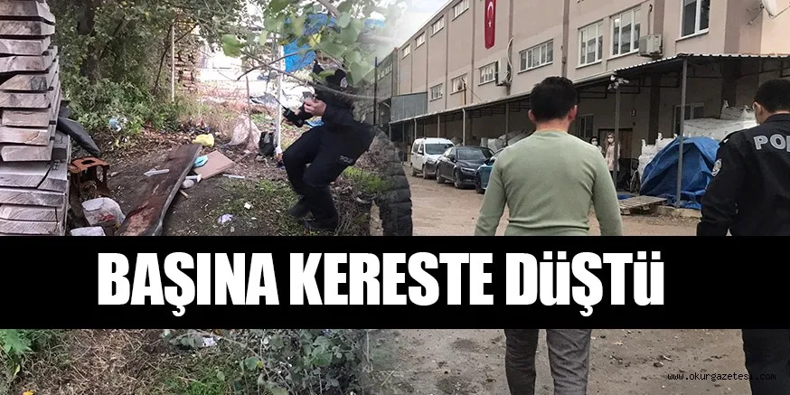 Başına kereste düşen kişi yaralandı