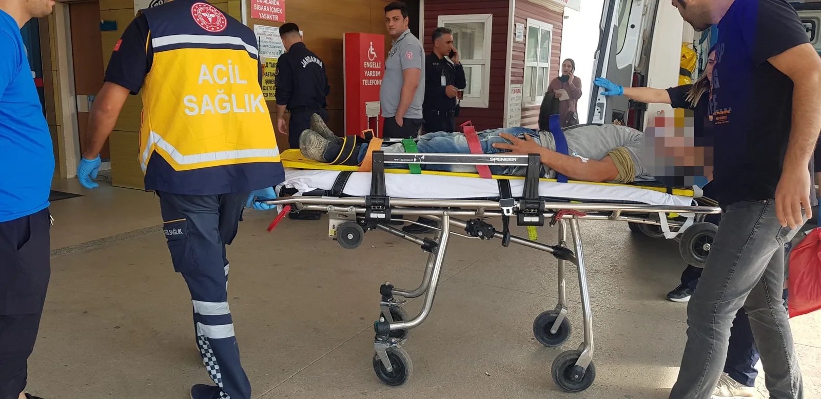 Ağaçtan düşen kişi yaralandı