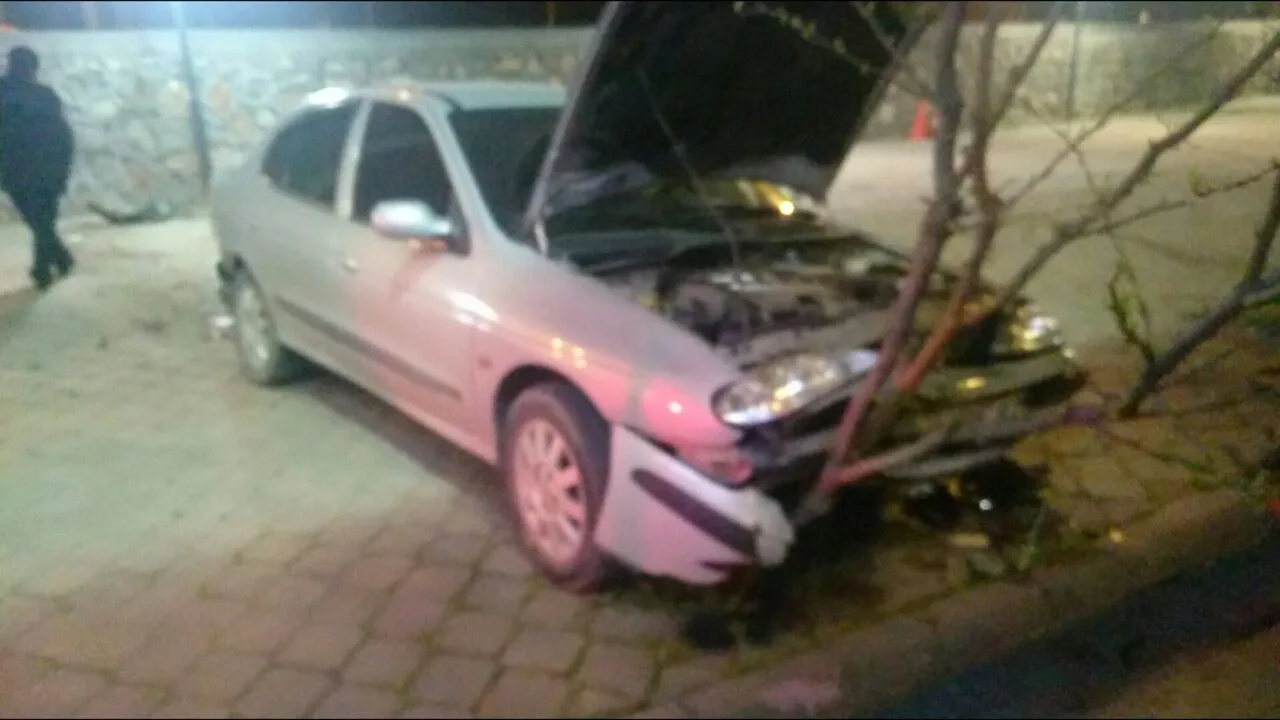 Kontrolden çıkıp bahçeye uçtu