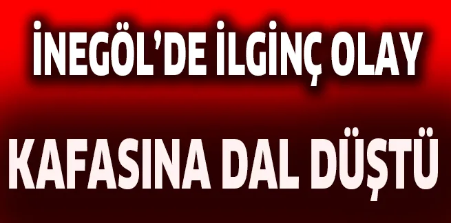 İNEGÖL'DE İLGİNÇ OLAY.. KAFASINA DAL DüŞTü