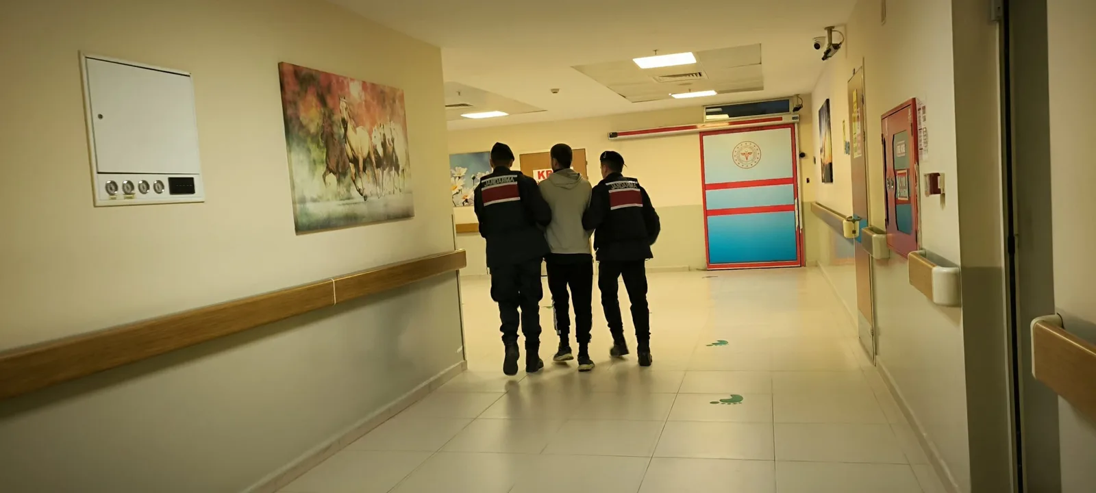 Jandarma bir hırsızı daha yakaladı