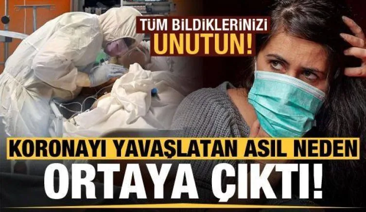 Bildiklerinizi unutun! Koronavirüsü 'yavaşlatan' asıl neden ortaya çıktı