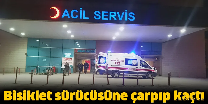 Bisiklet sürücüsüne çarpıp kaçtı