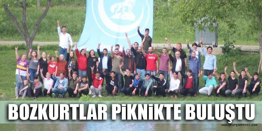 BOZKURTLAR PiKNiKTE BULUŞTU