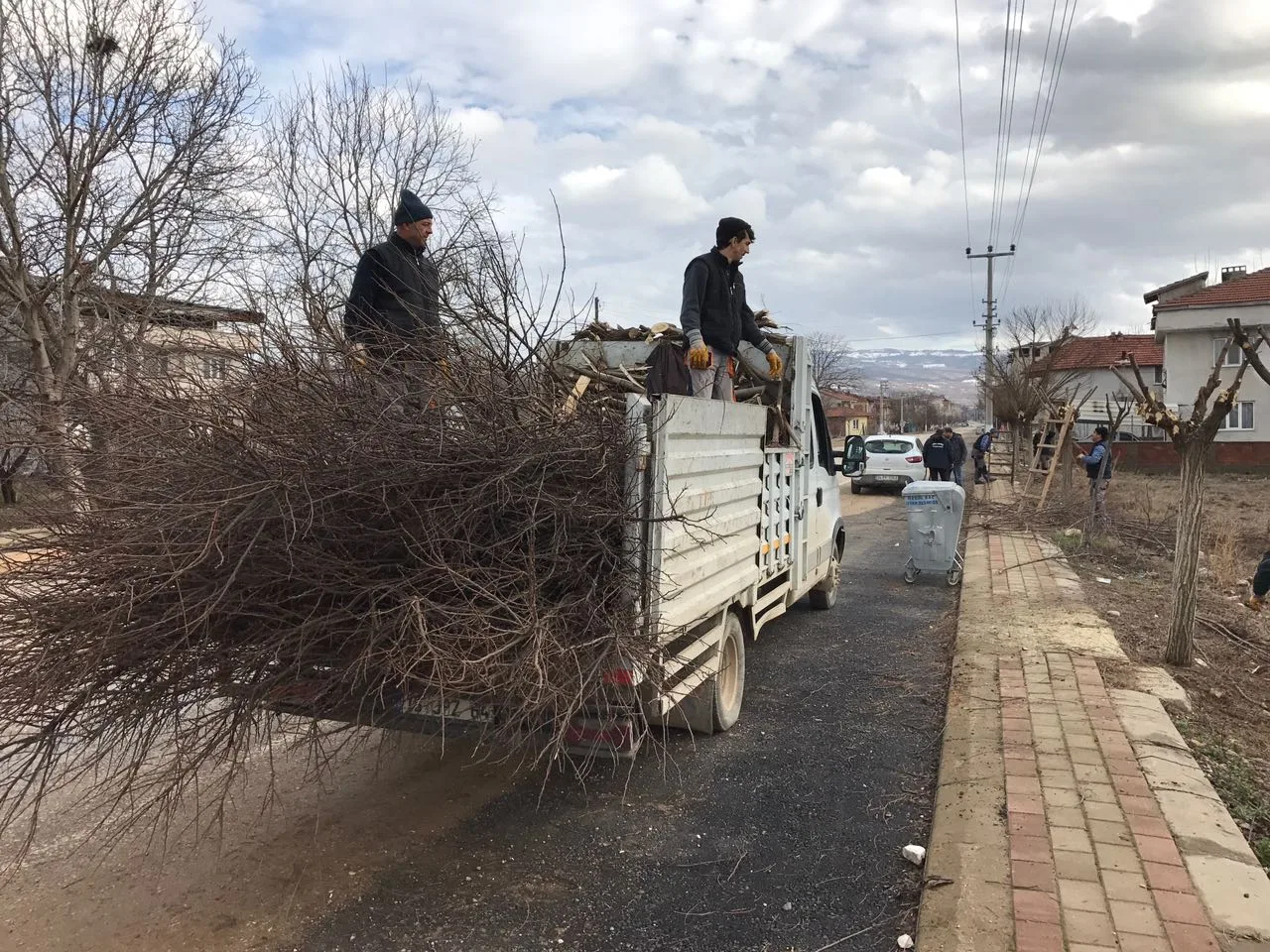 KARDAN ZARAR GÖREN AĞAÇLAR BUDANIYOR