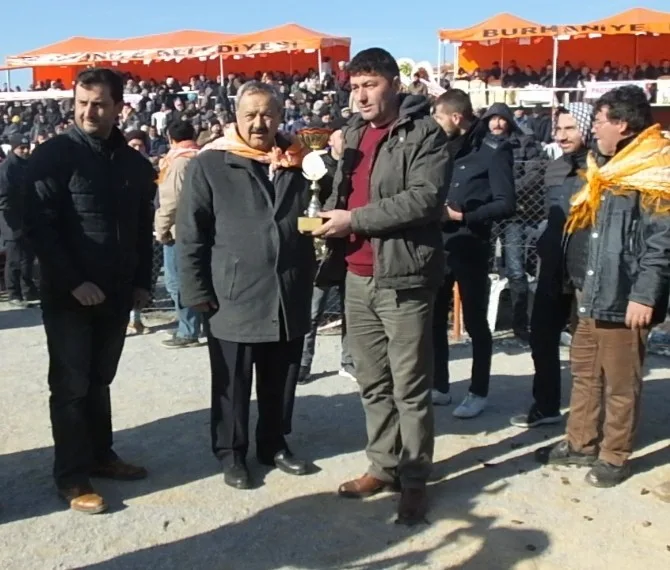 Burhaniyede Deve Güreşlerini 10 Bin Kişi İzledi