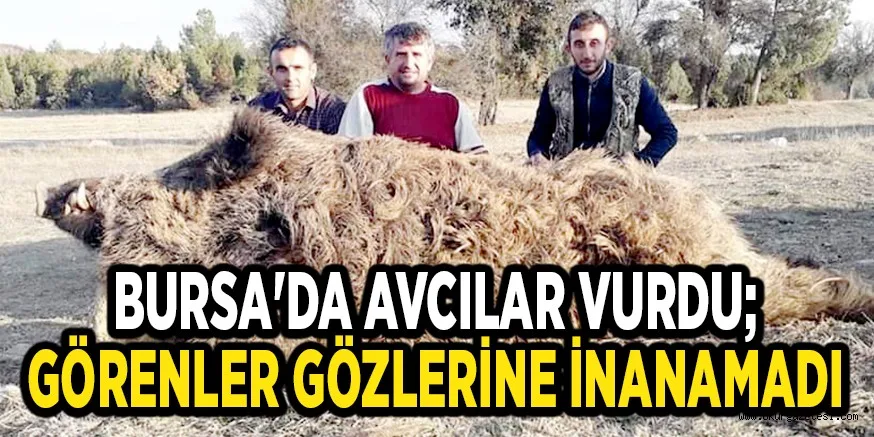 BURSA'DA AVCILAR VURDU; GÖRENLER GÖZLERİNE İNANAMADI
