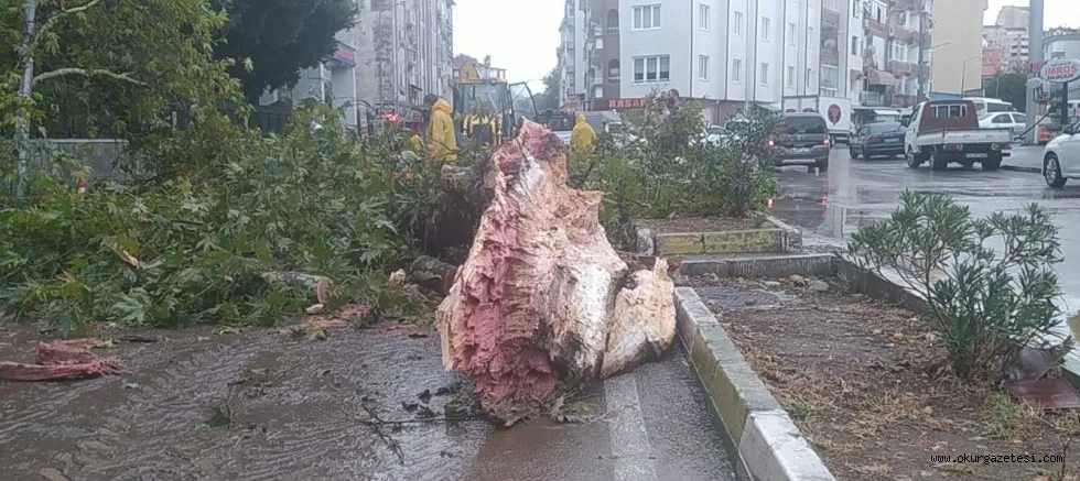 Bursa'da sağanak hayatı olumsuz etkiledi