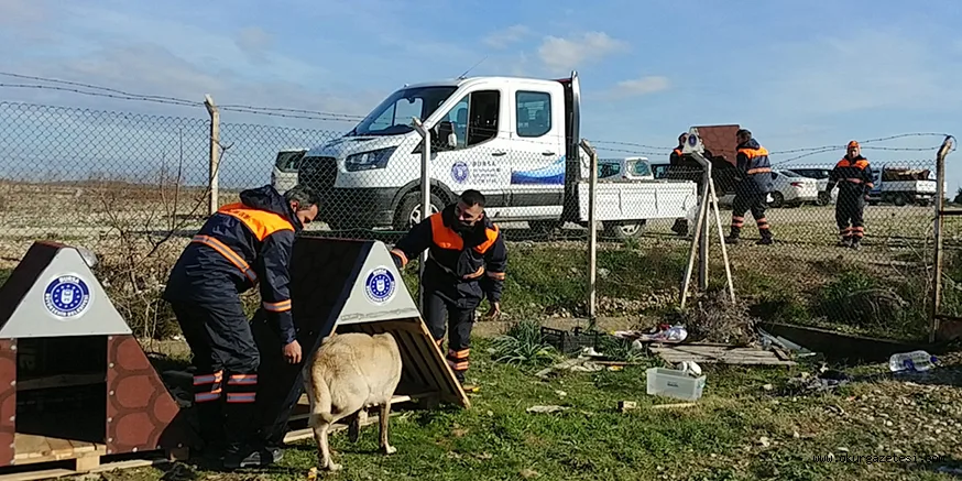 Bursa'da sokak hayvanları unutulmadı