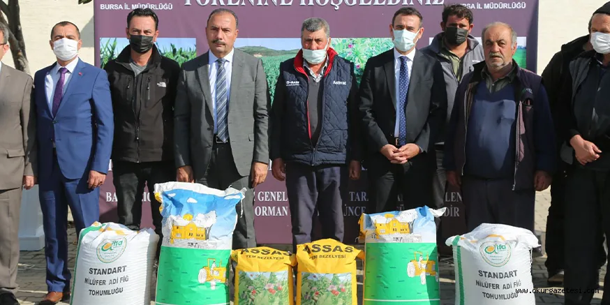 Bursa'da üreticilere yem bitkisi tohumu dağıtıldı