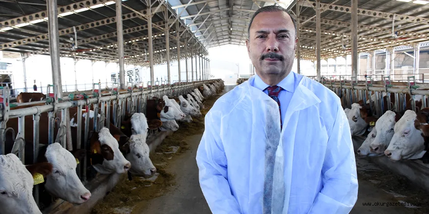 Bursa'da üretilen sütün 4'te biri hastalıktan ari işletmelerden elde ediliyor