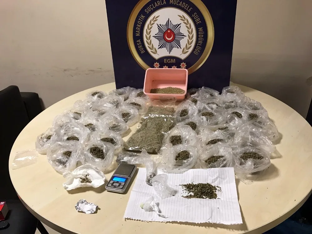 Bursada 1 Kilo Bonzai Ele Geçirildi