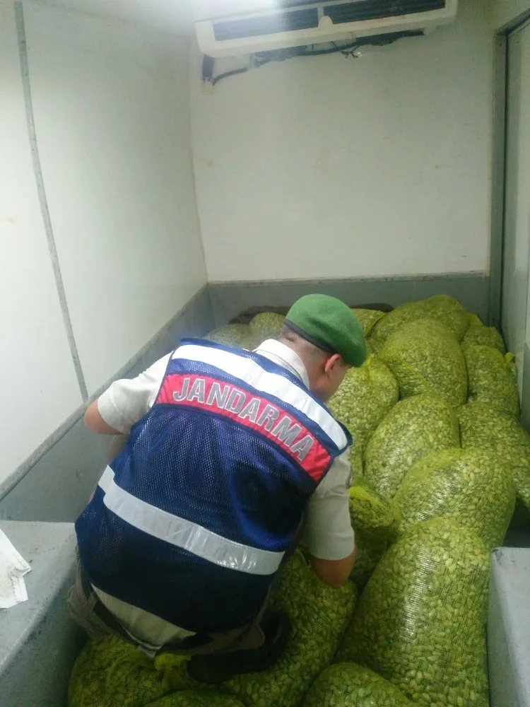 Bursada 1 Ton 200 Kilo Kaçak Midye Ele Geçirildi