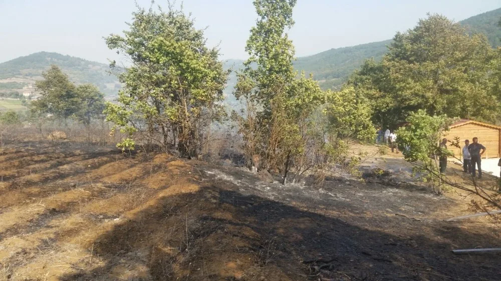 Bursada 3 Hektarlık Ormanlık Alan Yandı