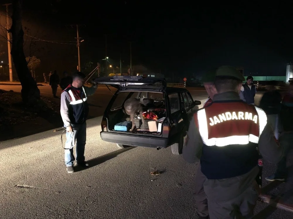 Bursada 5 İlçede Jandarmadan Huzur Operasyonu: 19 Şahıs Yakalandı