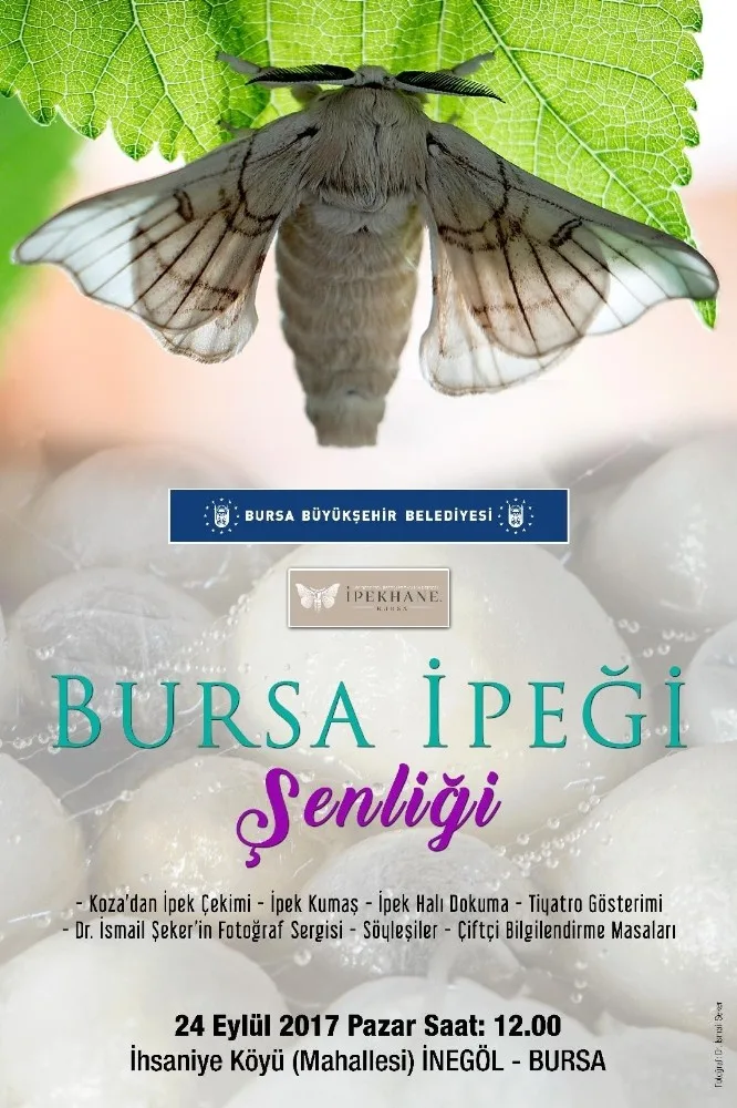 Bursada İpek Şenliği