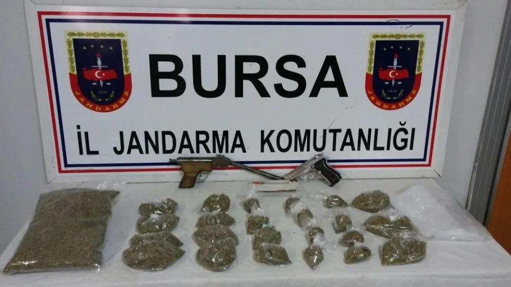 Bursada Jandarmadan Uyuşturucu Operasyonu