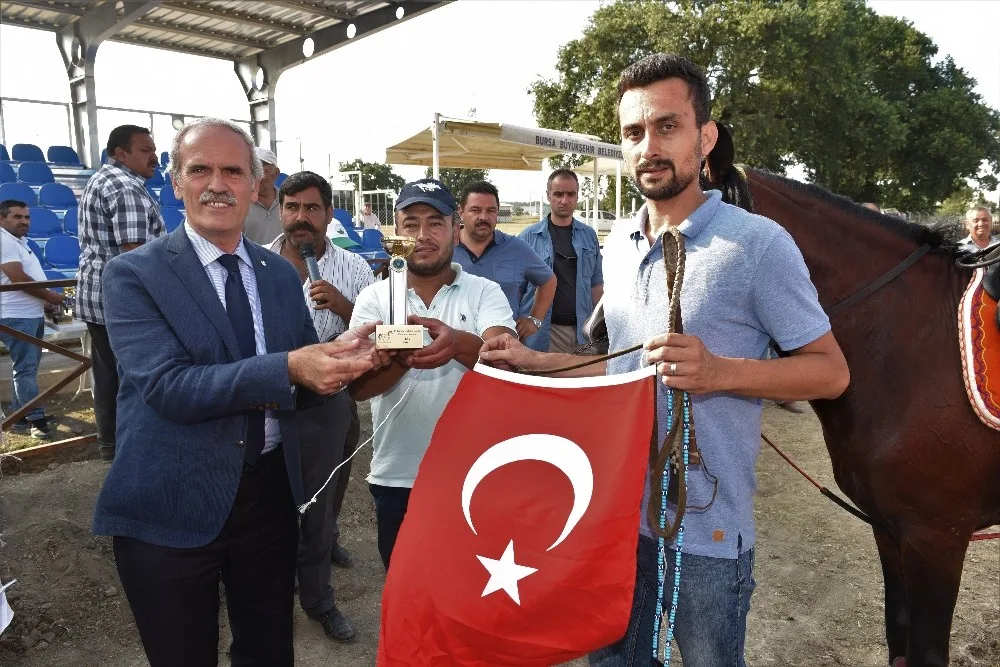 Bursada Rahvan Atları 15 Temmuz Anısına Yarıştı
