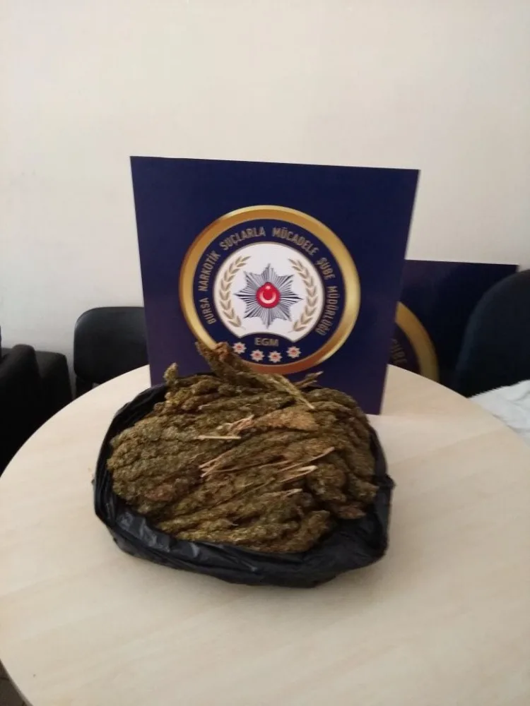 Bursada Zehir Tacirlerine Operasyon: 3 Gözaltı