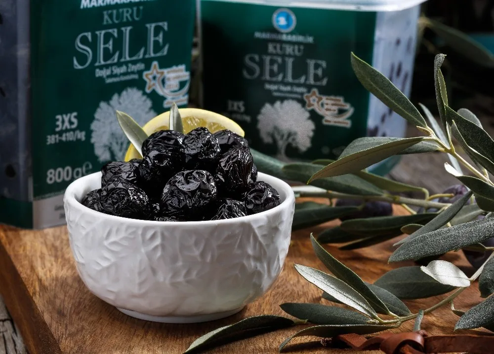 Bursada Zeytin Ağacı Envanteri Çıkarılıyor