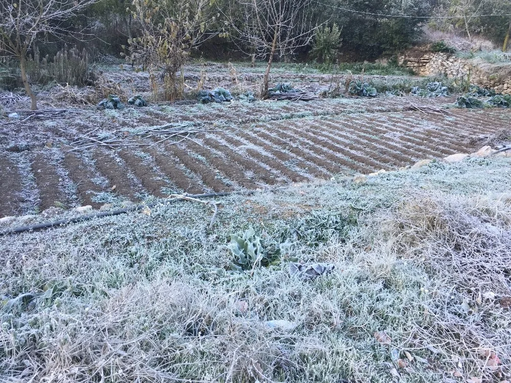 Büyükorhana Kar Yağdı