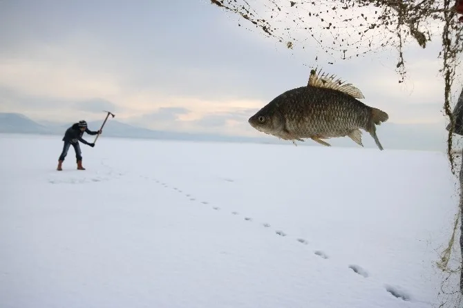 Buz Tutan Beyşehir Gölünde “Eskimo” Usulü Balık Avı