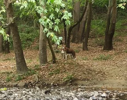 Oylat’ta korku dolu anlar