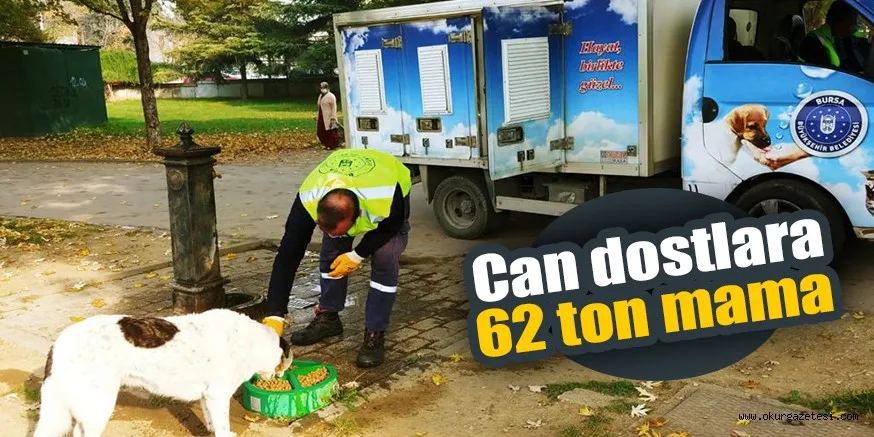 Can dostlara 62 ton mama