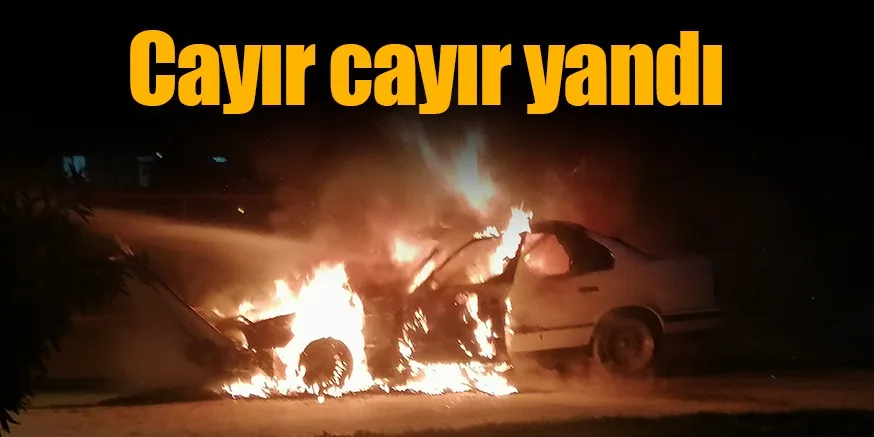 CAYIR CAYIR YANDI