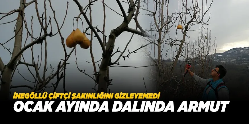 ÇİFTÇİ ŞAŞIRDI