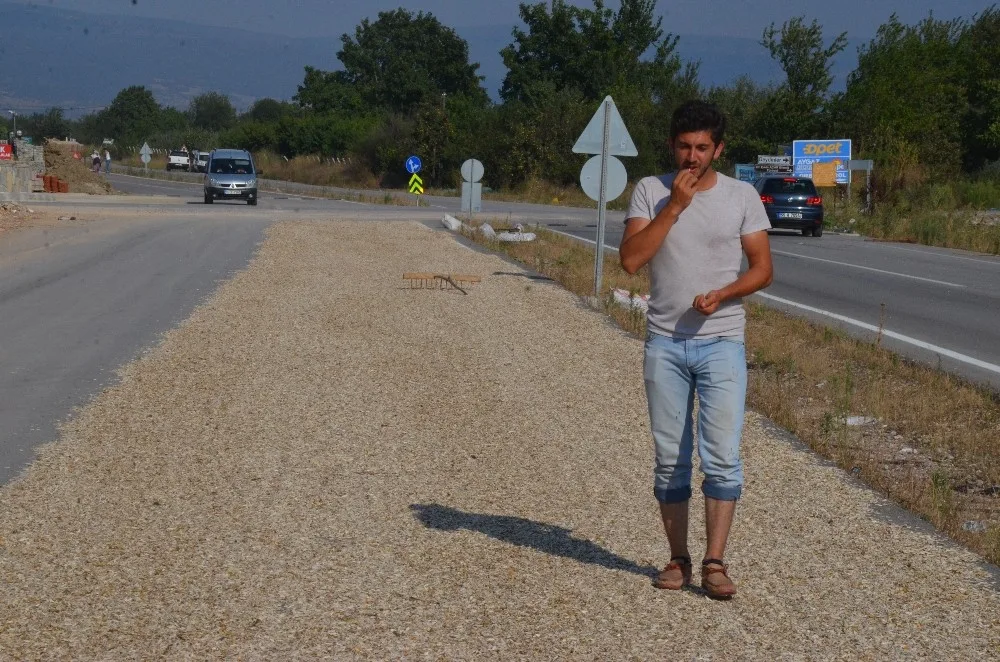 Çifte Değil Yolda Kavrulmuş Çekirdek