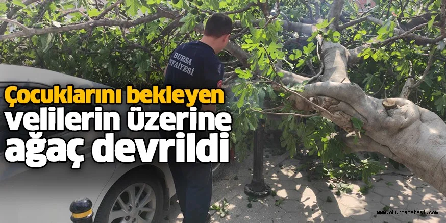 Çocuklarını bekleyen velilerin üzerine ağaç devrildi